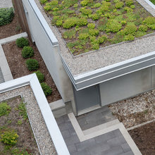 green roof
