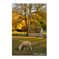 Autumn at Thompson Neely - Products