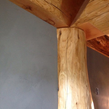 Log cabin Master Bedroom in Bragg Creek done In American Clay Natural Plaster