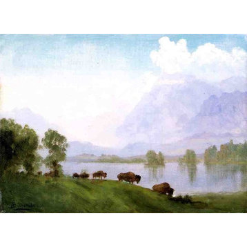 Albert Bierstadt Buffalo Country, 18"x27" Wall Decal