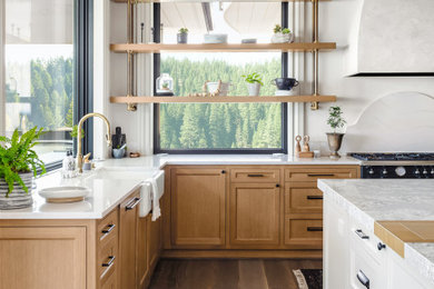 Kitchen - traditional kitchen idea in San Francisco