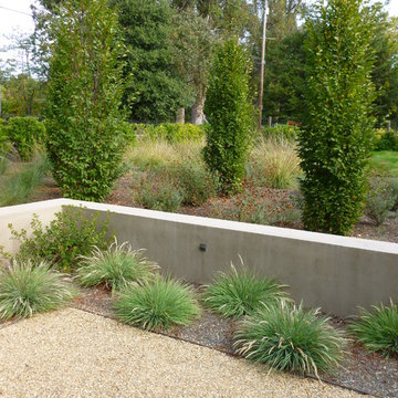 sonoma modern