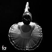 Domenico Chiefari's photo