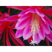 Janica Lane's photo