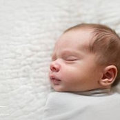 Abby Hysmith's photo