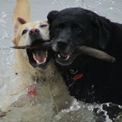 Marj Irwin's photo