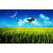 Daniela Venkova's photo