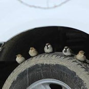 Mary-Lou Murphy's photo