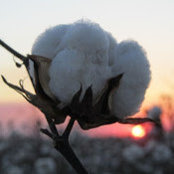 Paul Harris's photo