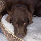 Michel Drouin's photo