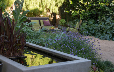 Houzz Call: Are You Letting Go of Your Lawn?