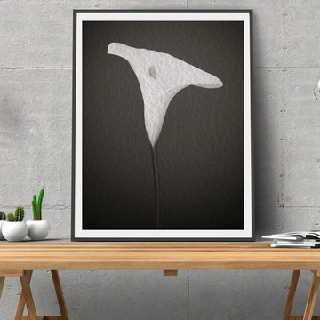 "Emerging Light Of The Lily" Floral Fine Art Print