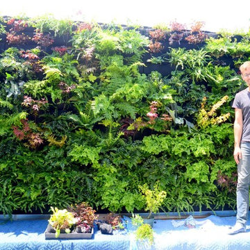 Vertical Gardens