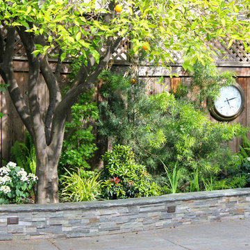 Traditional Backyard Remodel
