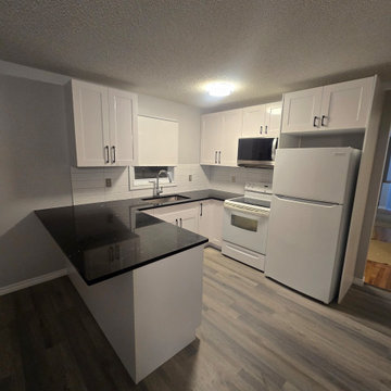 Kitchen Update Dinu