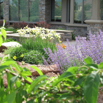 Gary's Portico Magic Land - Longmont