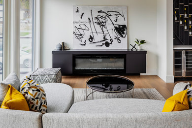 Living room - contemporary living room idea in Vancouver