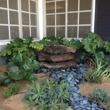 Landscape Private Garden Water Feature