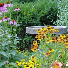 1860 Landscaping
