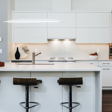 Modern Electric Kitchen_Delta Cedar Springs Home