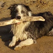 Martyn Underhill's photo