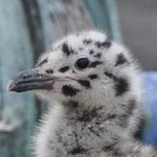 Diane Clement's photo
