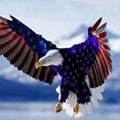 Rick Johnson's photo