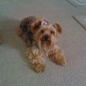 Connie Osmer's photo