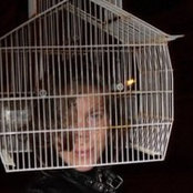 Sharon Walsh's photo