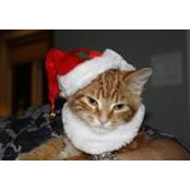 Stephanie Guyot's photo