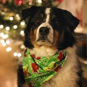 Bettye Rainwater's photo