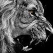 Adrian Woolley's photo