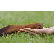 Carol Dailey's photo