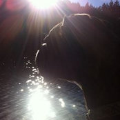 Cavell Briscoe's photo