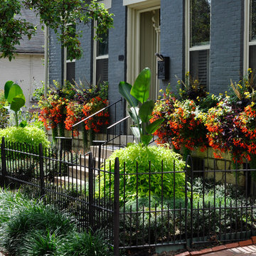 Urban Prairie- German Village