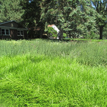 Lawn & Garden