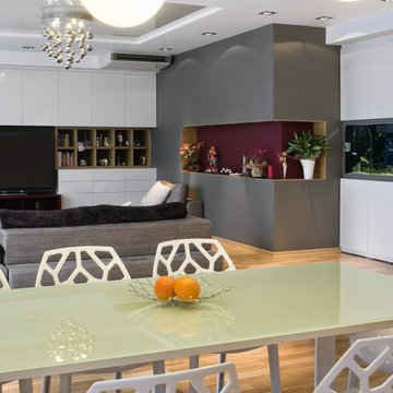 Custom Residential Aquarium Installations