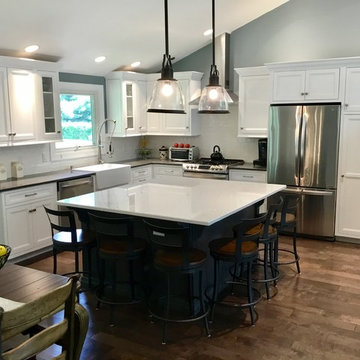 White transitional kitchen