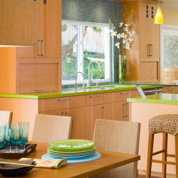 Tropical Zen Remodel