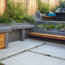 landscaping plants