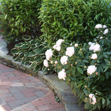 Planting Services