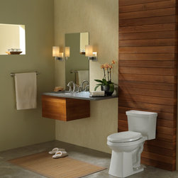Danze Cobalt 1 Piece High Efficiency Toilet - Toilets