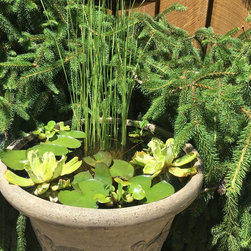 Water Gardening - Outdoor Fountain And Pond Accessories