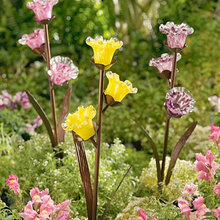 Landscape Ideas