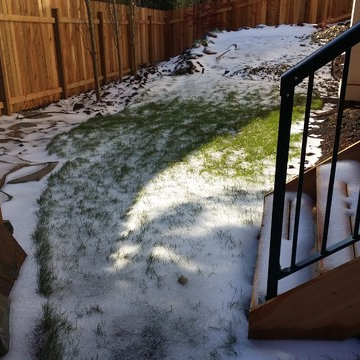 Mission Impossible MakeOver! Specimen Trees & Patio Down Extreme Slope