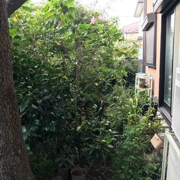 東京都目黒区 小鳥が舞うナチュラルガーデン