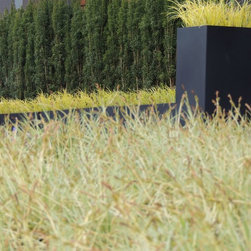 Modern Bench & Planter - Products