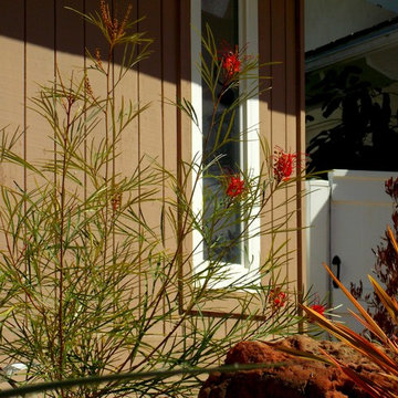 Laguna Niguel 2014