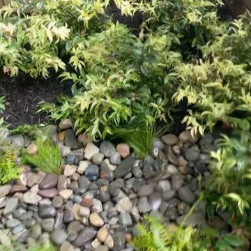 RainGarden + Stormwater Management