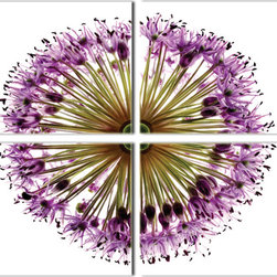 Purple Sensation - Products